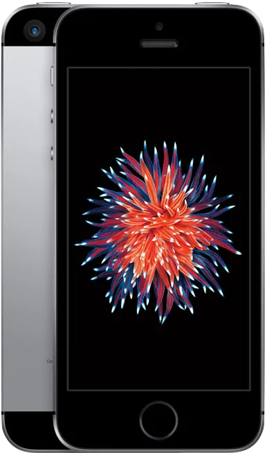 iPhone 5s